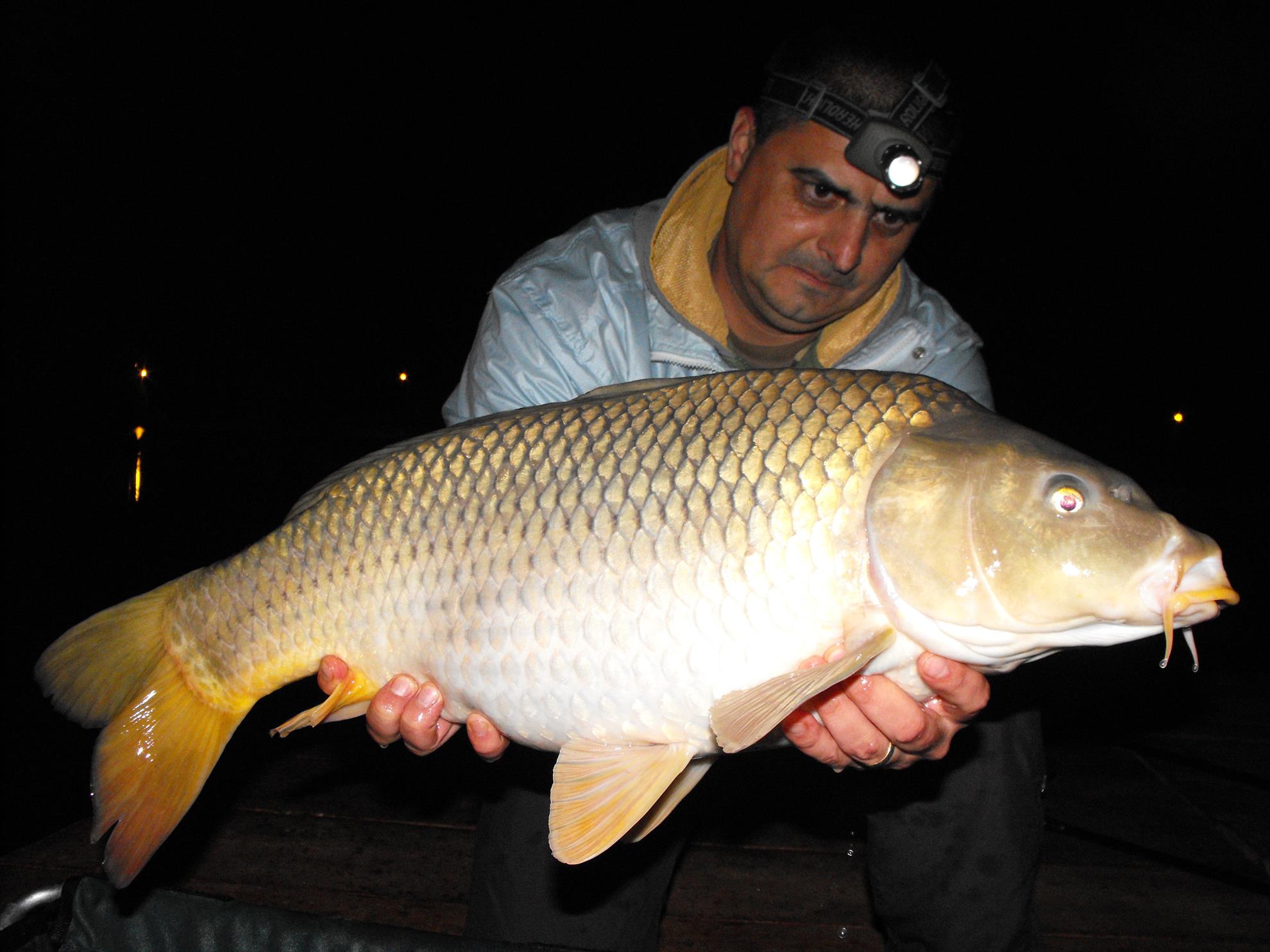 Hermes Peris 17 - 18 aprilie 2015 - dscf1037.JPG